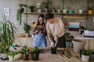 Record number of new companies launched in 2023